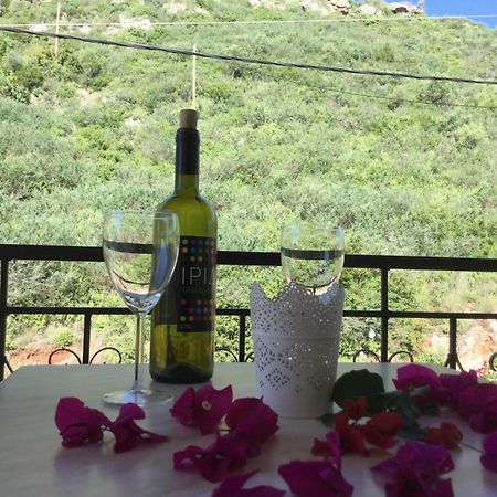 Sea Sound Aparthotel Vasiliki Cameră foto